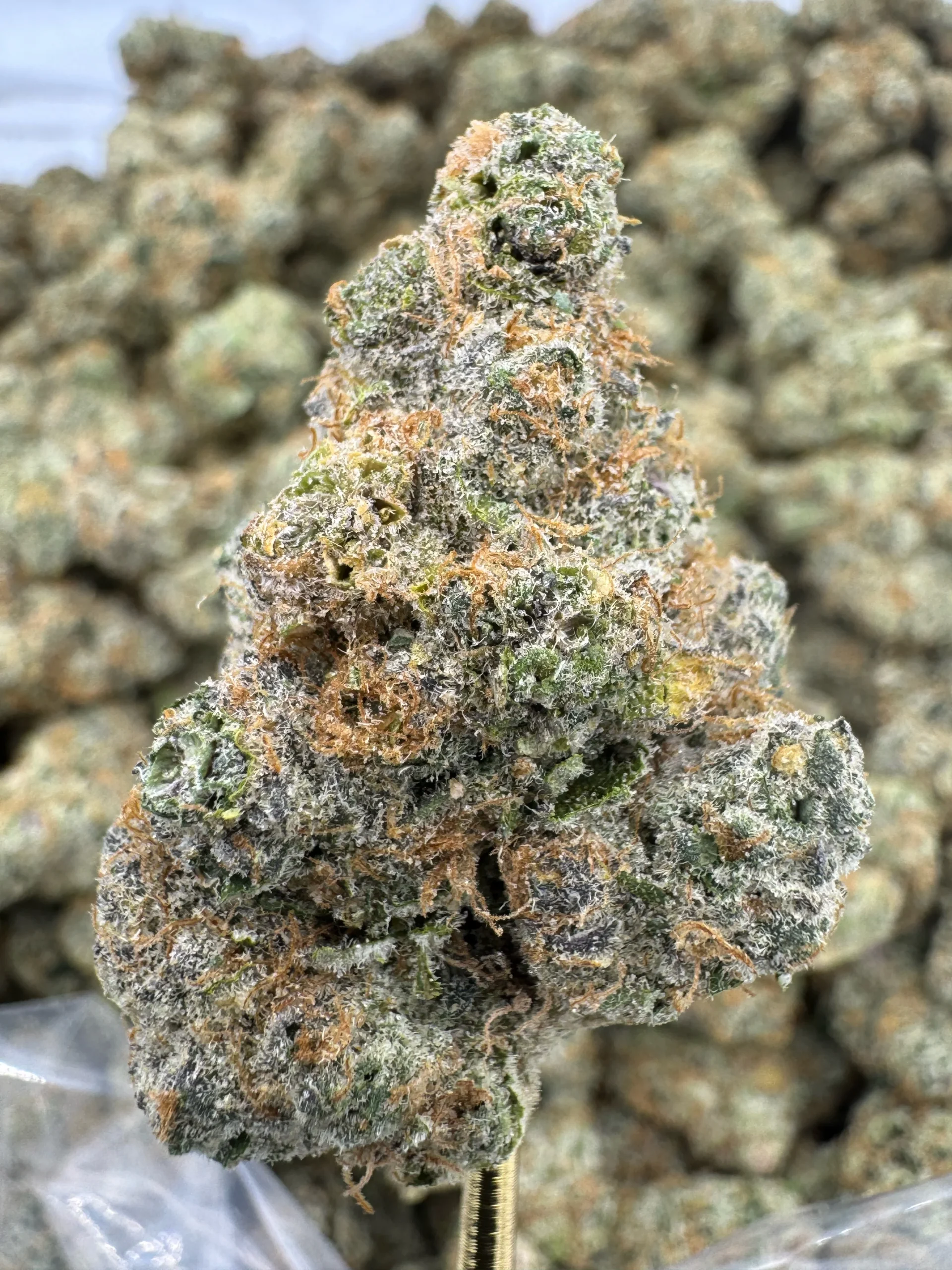 madbudz