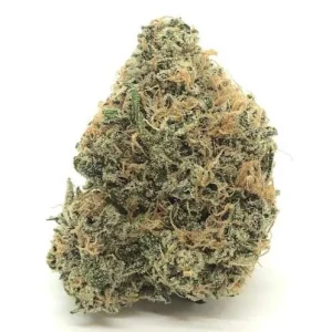Big Bud Strain